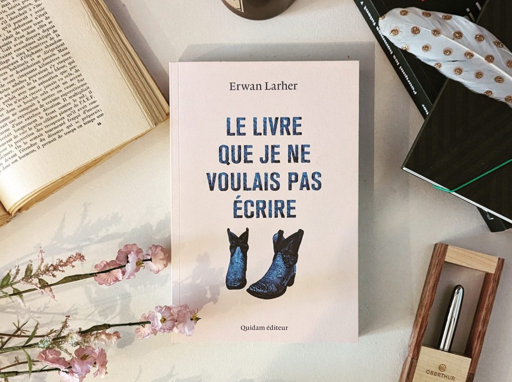 Le livre que je ne voulais pas écrire_Couverture