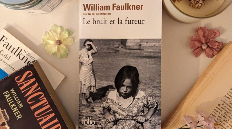 le_bruit_et_la_fureur_couverture