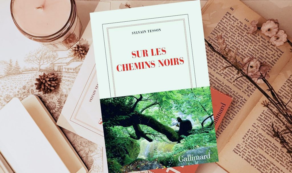 Sur les chemins noirs_Couverture du livre