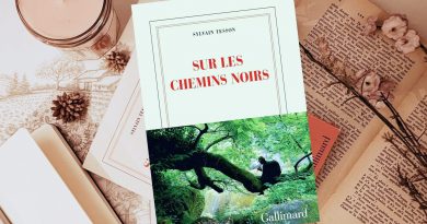 Sur les chemins noirs_Couverture du livre