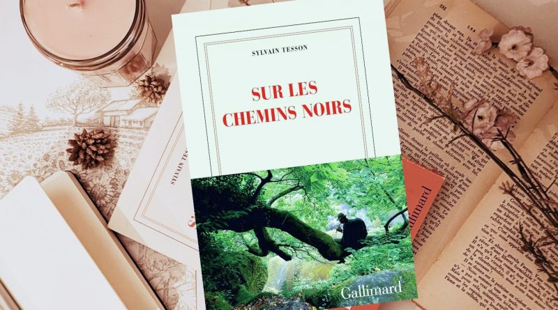 Sur les chemins noirs_Couverture du livre