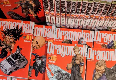 couverture-dragonball-perfectedition